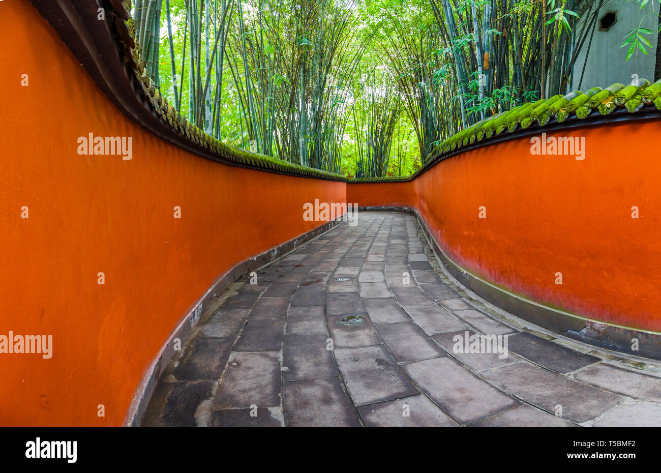 Paso entre paredes rojas rodeado de bambúes,Chengdu, China. Foto de stock