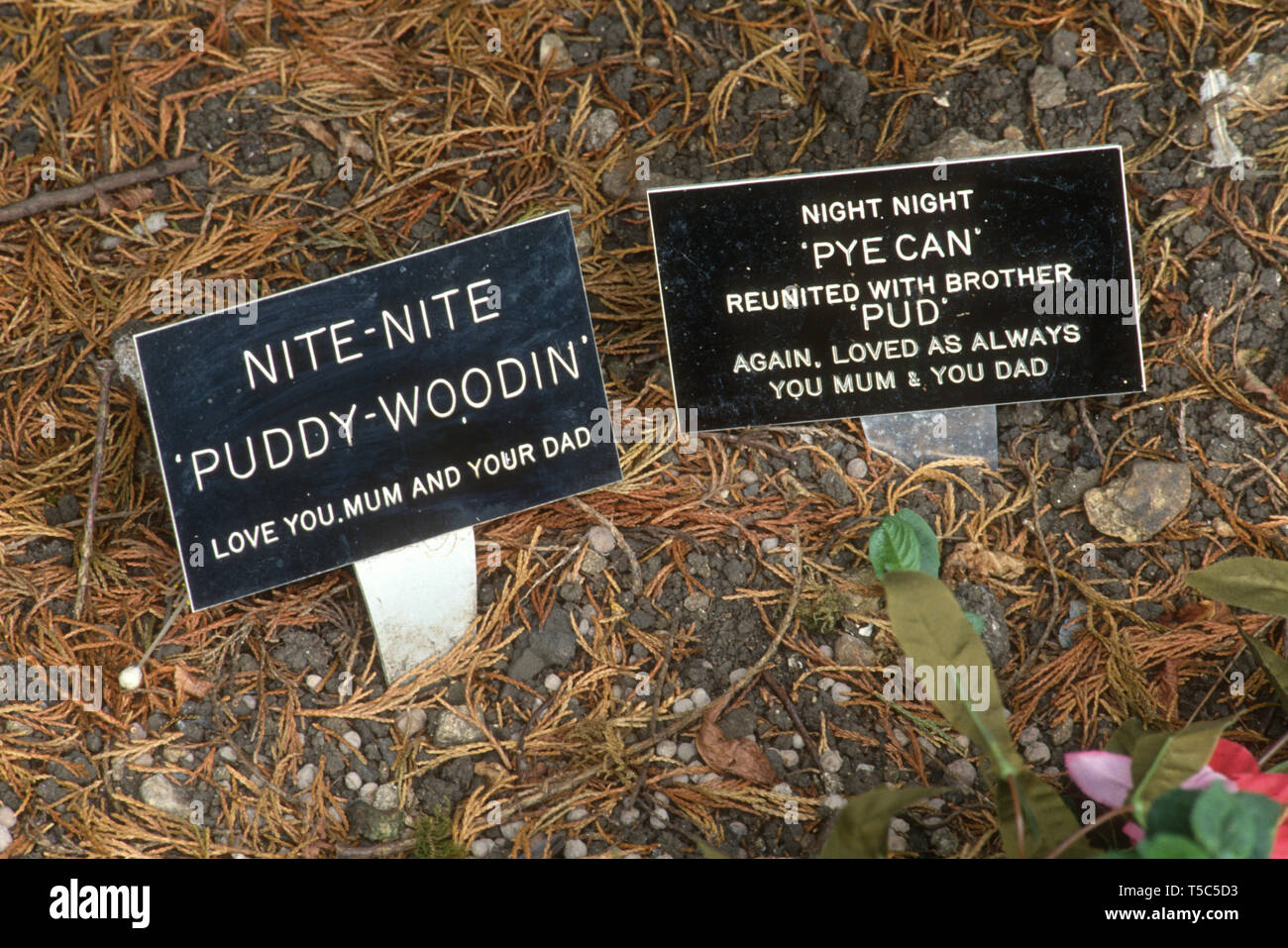 Marcadores de tumbas en el cementerio de mascotas, Reino Unido Foto de stock