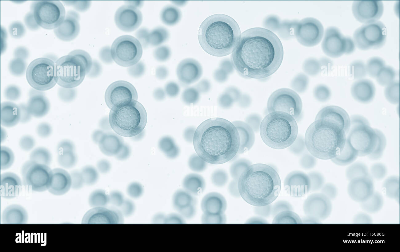 Las células aisladas sobre fondo blanco. Ciencia y antecedentes médicos. 3D Render Foto de stock