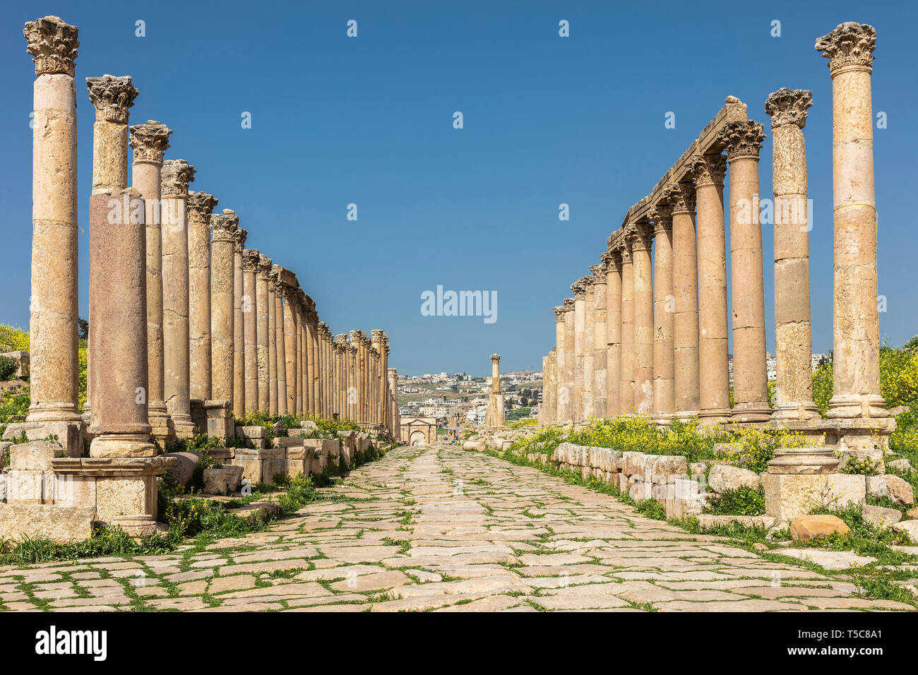 Ammán, Jordania. Detalle de columnas romanas en el interior de la ciudadela, conocido sitio arqueológico de destino turístico. Foto de stock