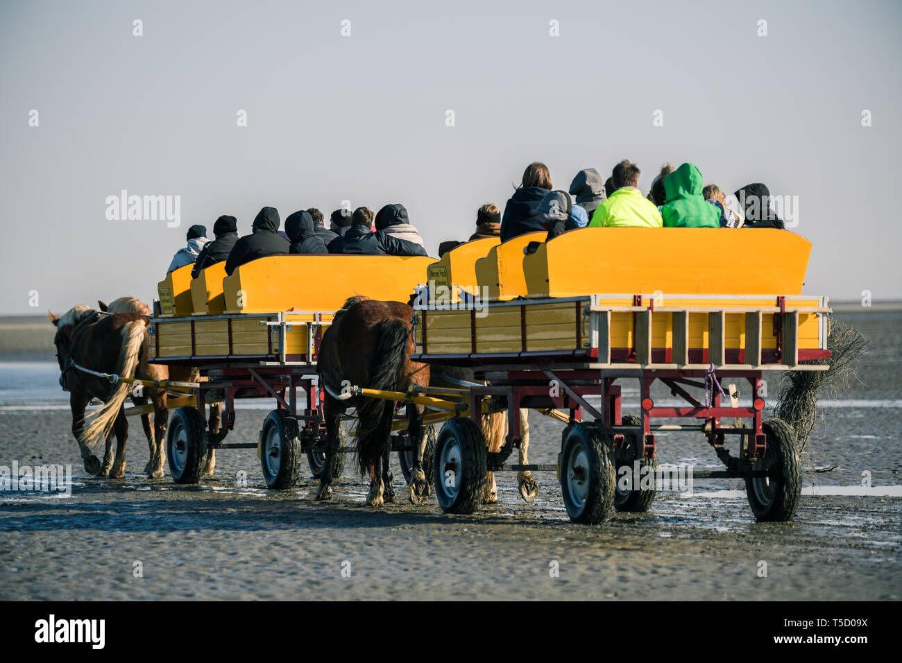 Cuxhaven, Alemania. 20 abr, 2019. Carruajes con varias personas son tirados por caballos de Cuxhaven a través del Mar de Wadden a la isla "Neuwerk' en la marea baja. Crédito: Mohssen Assanimoghaddam/dpa/Alamy Live News Foto de stock