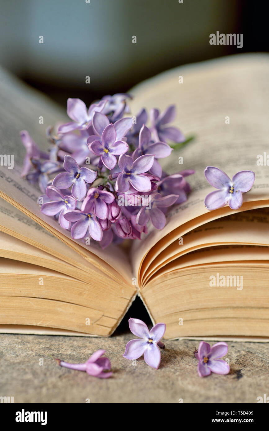 Flores de color lila con viejo libro abierto Fotografía de stock - Alamy