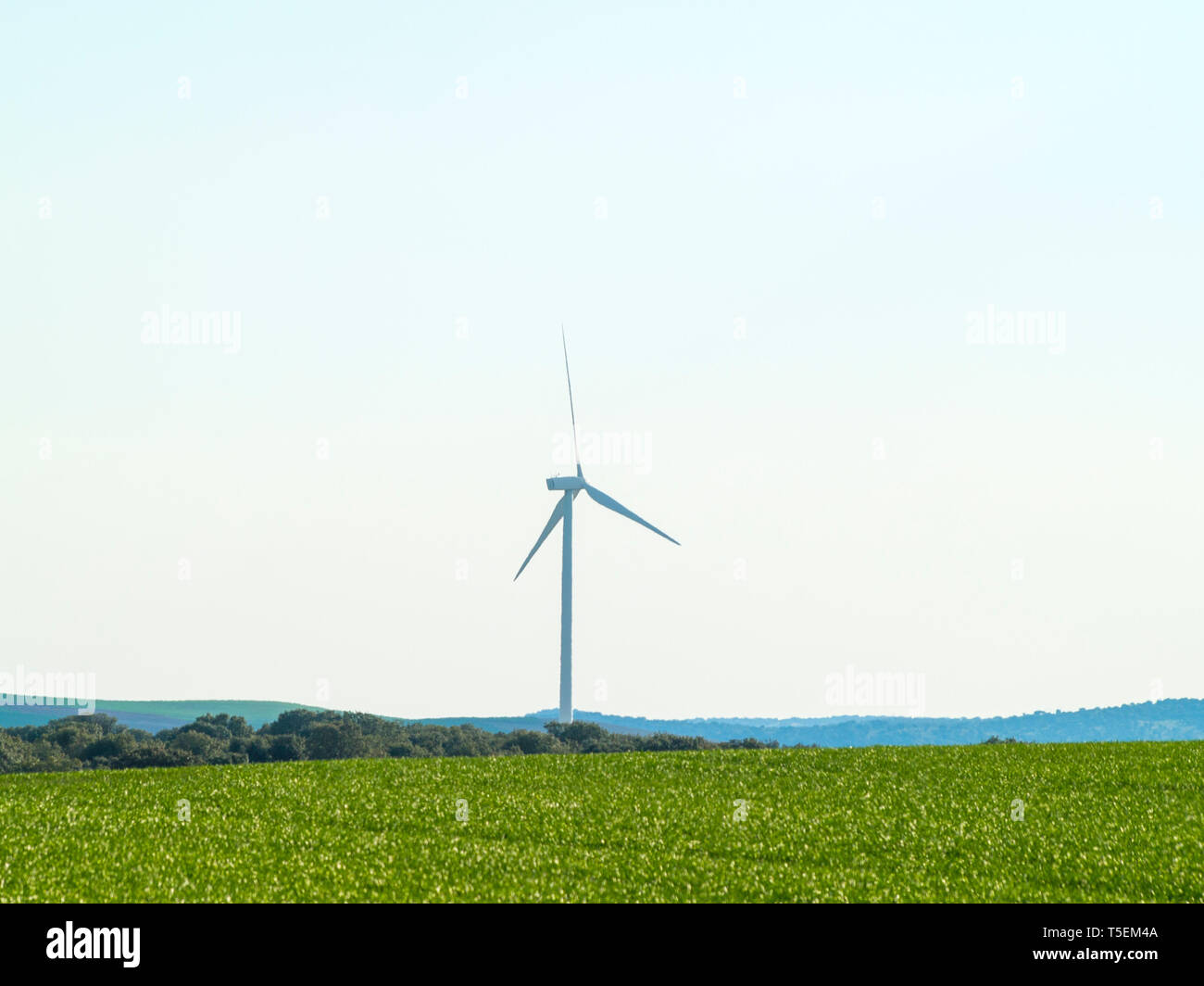 El molino de viento en el paisaje generando energía eólica en España Foto de stock