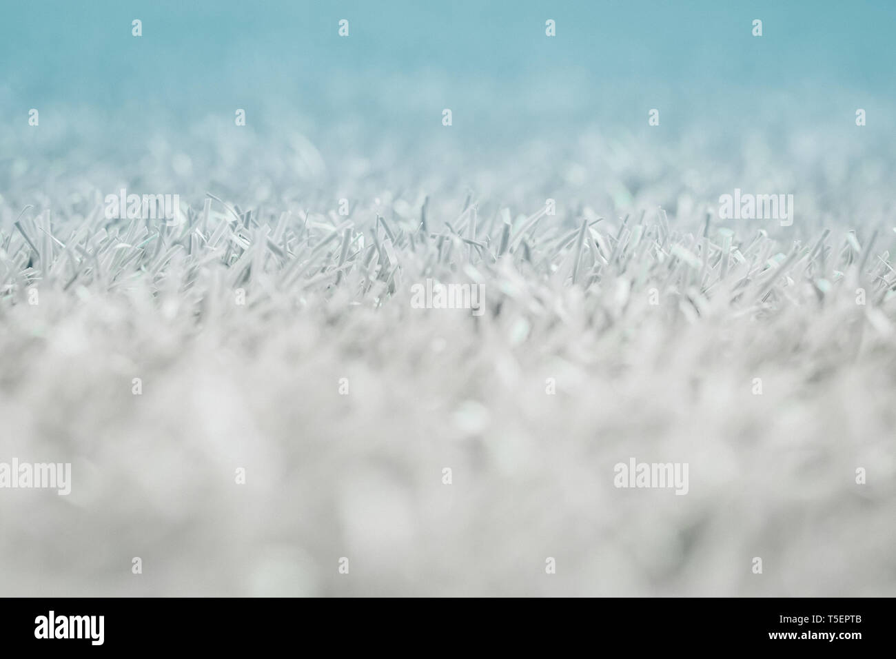 Hierba gris. textura de fondo. primavera fresca hierba mullida cobija gris  Fotografía de stock - Alamy