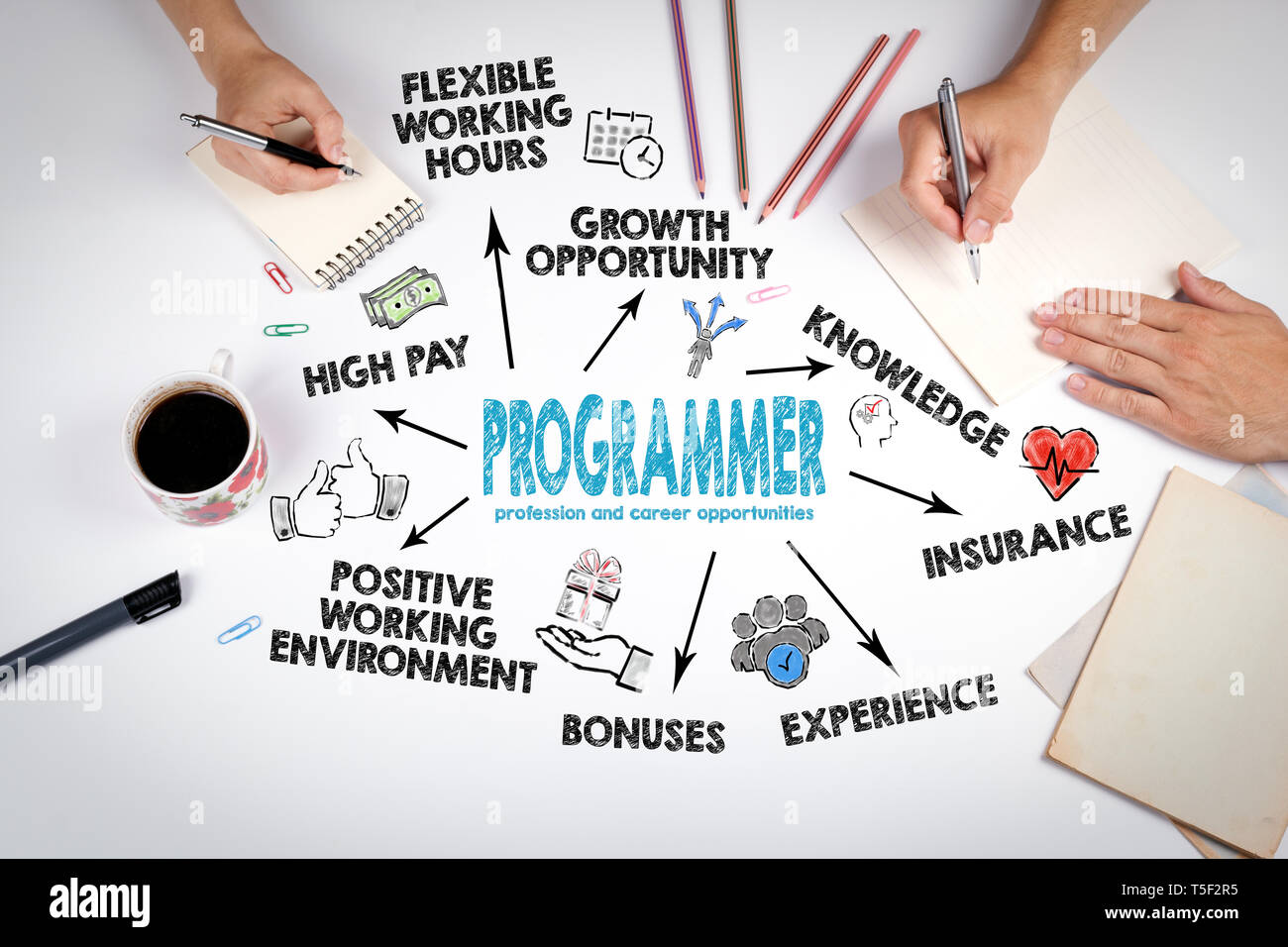 La profesión de programador y oportunidades de carrera. Gráfico con iconos y palabras clave Foto de stock