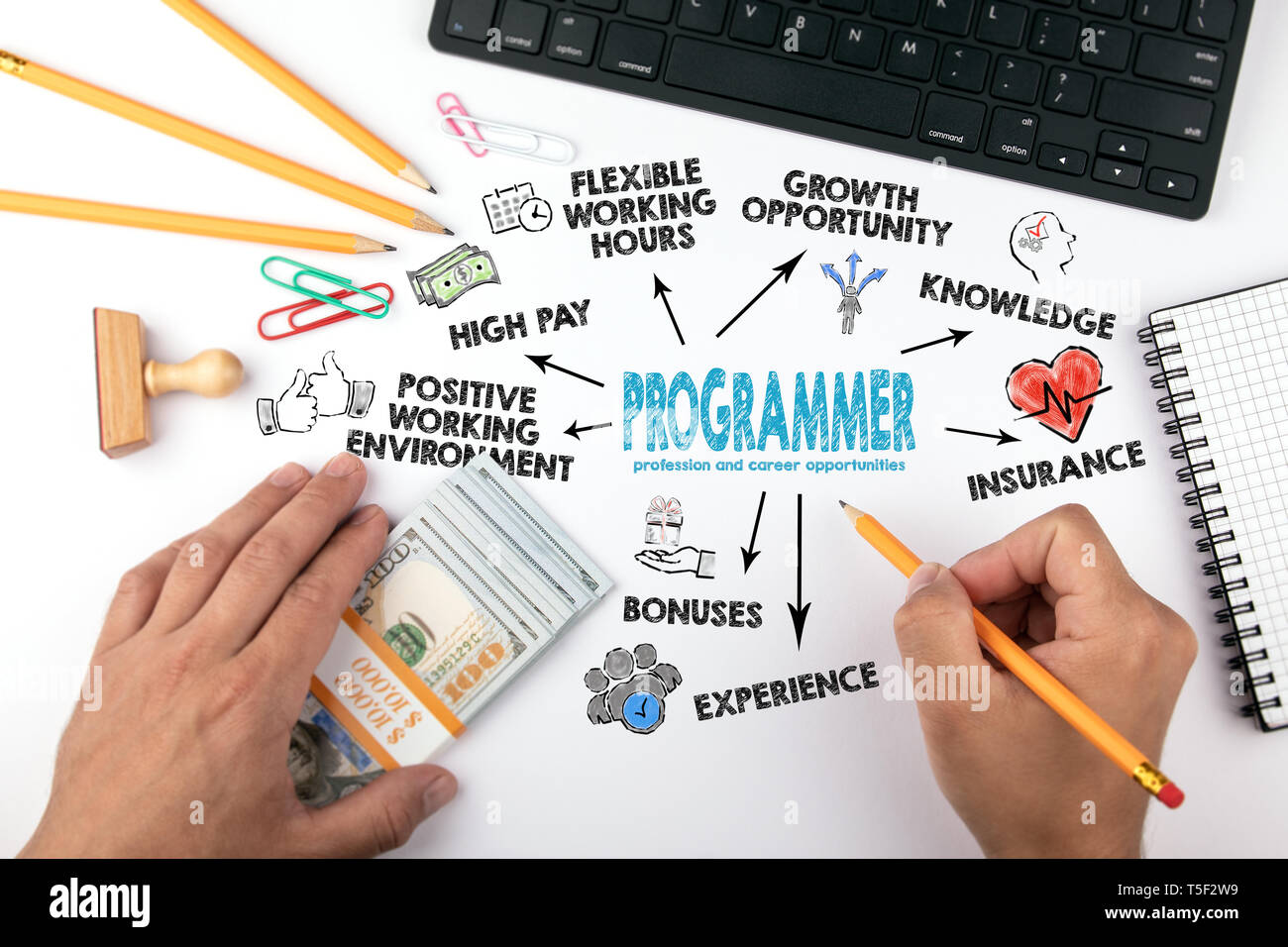 La profesión de programador y oportunidades de carrera. Gráfico con iconos y palabras clave Foto de stock