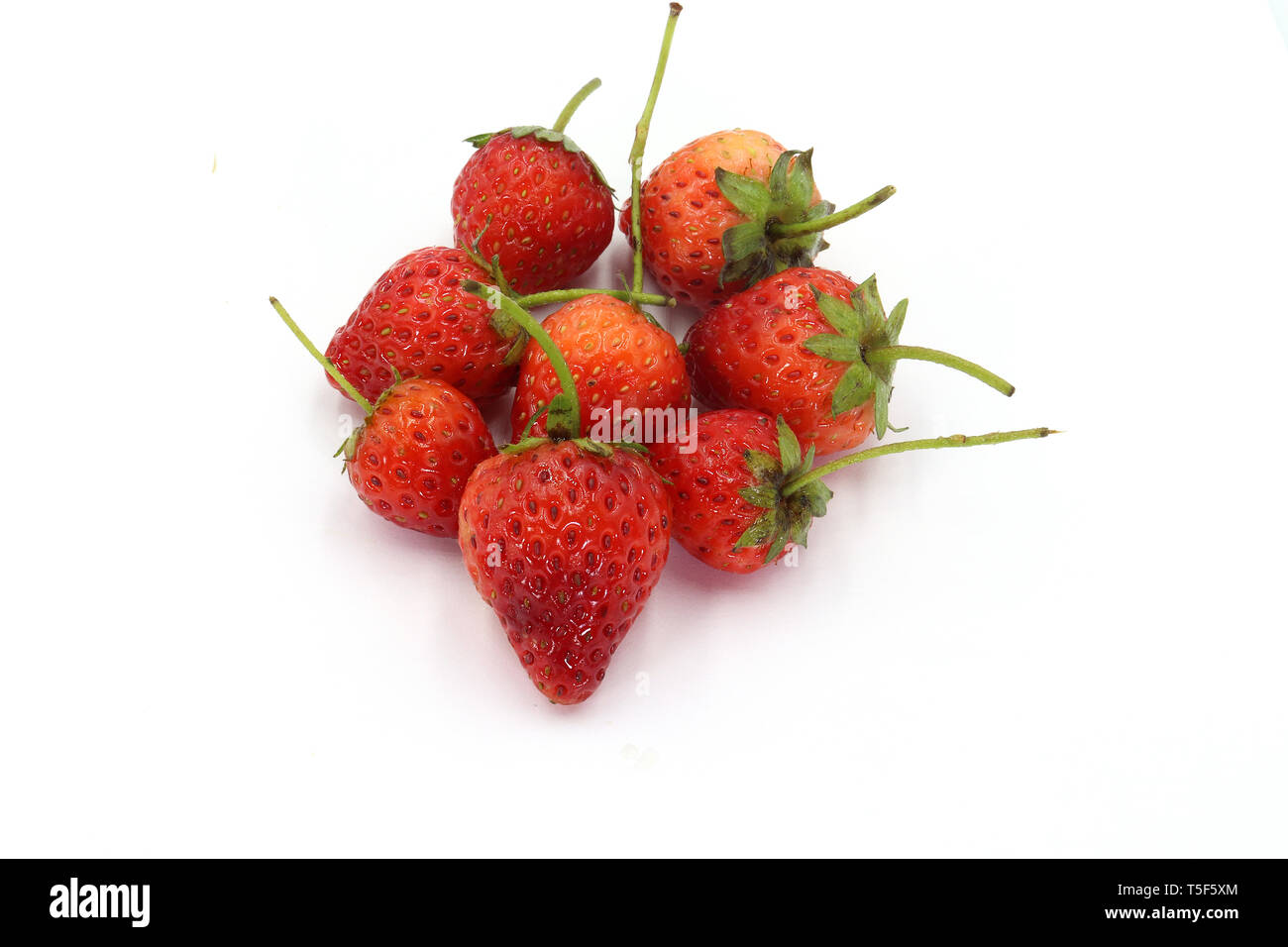 Las fresas ,pequeña fresa fresa con hoja sobre fondo blanco. Galería de  imágenes de alta resolución Fotografía de stock - Alamy