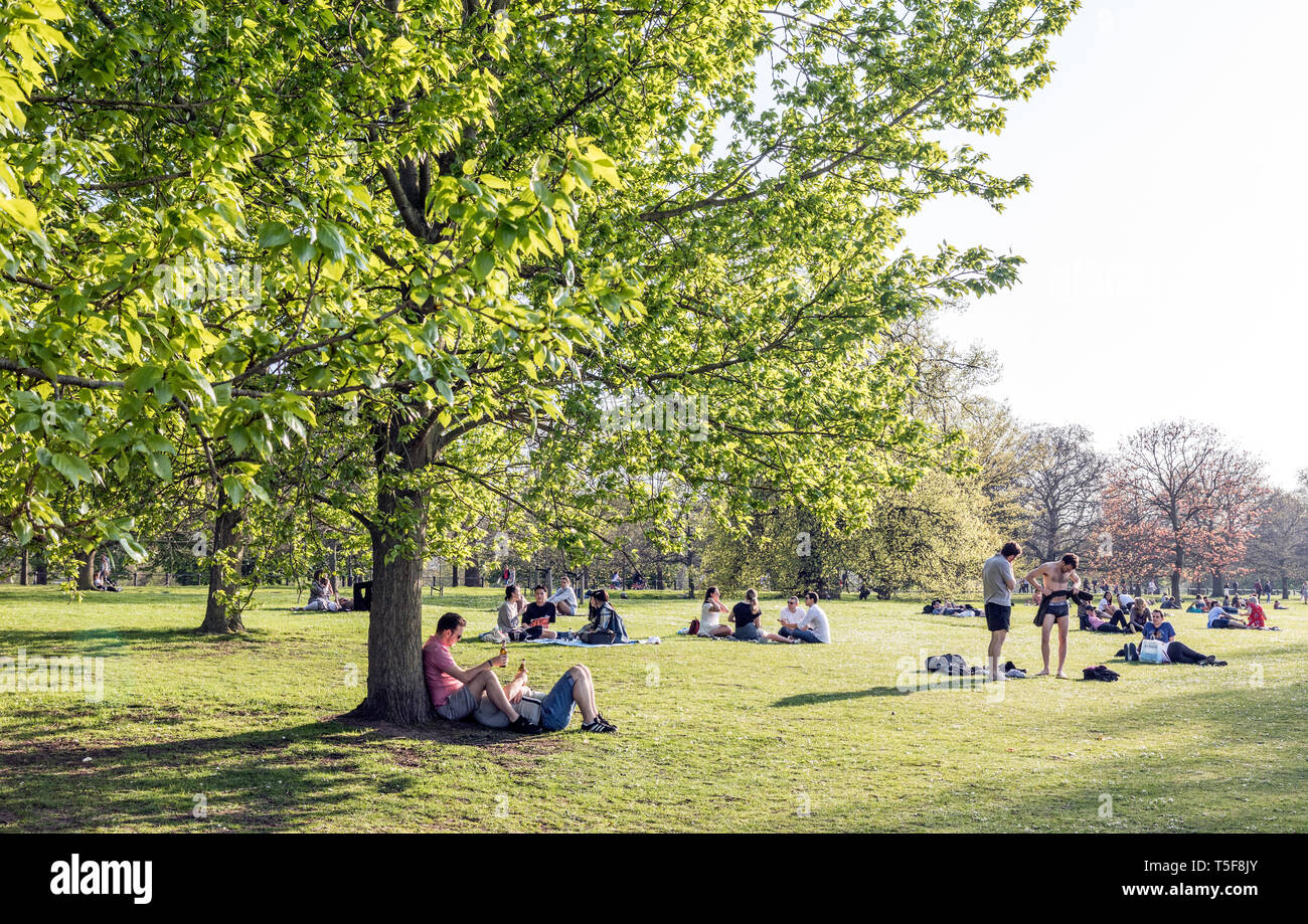 Personas sentadas en Hyde Park, Londres, Gran Bretaña. Foto de stock