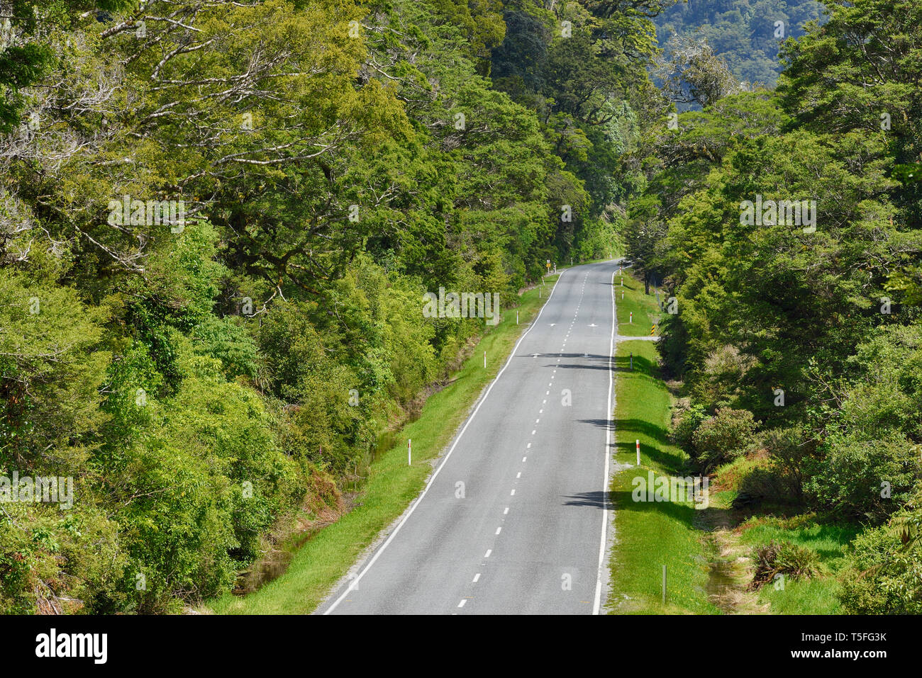 Haast Pass , carretera a través de la selva, Alpes del Sur, la Región de Otago, Isla del Sur, Nueva Zelanda Foto de stock