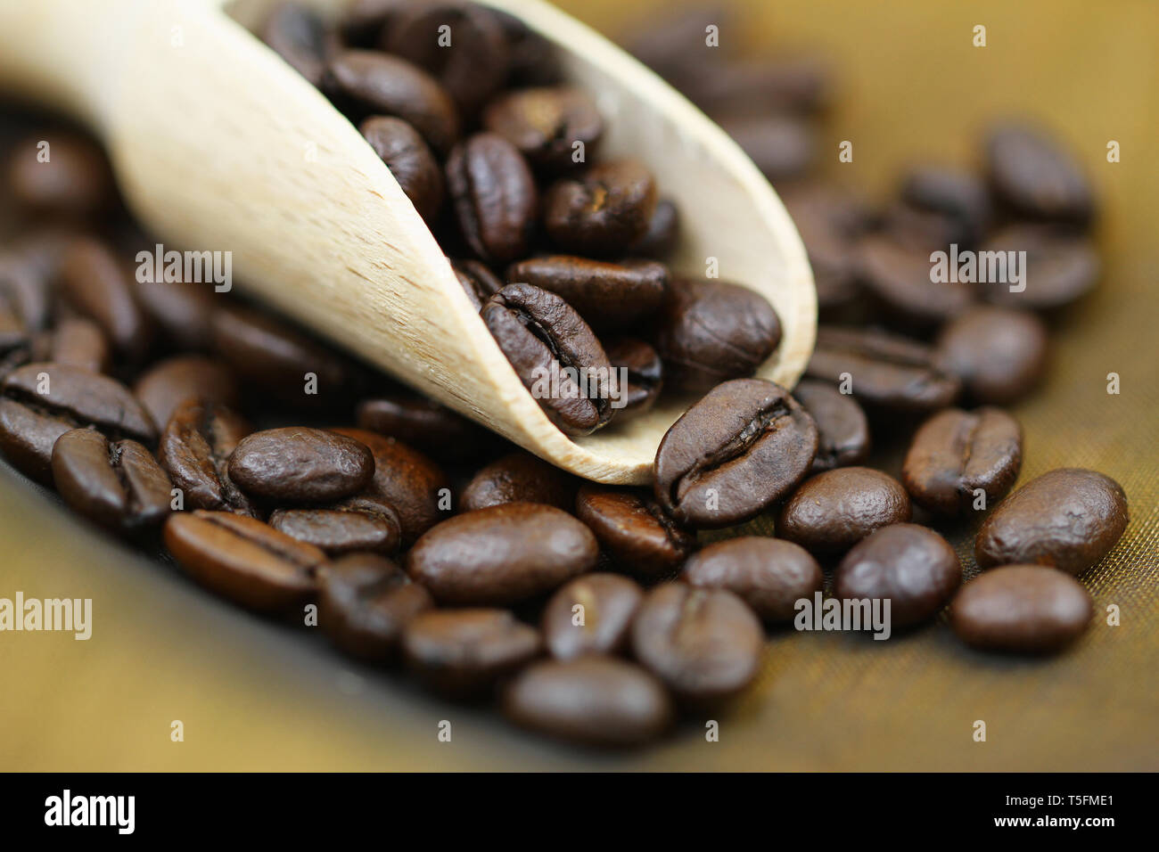Primer plano de café tostado en grano en la tolva de madera Foto de stock