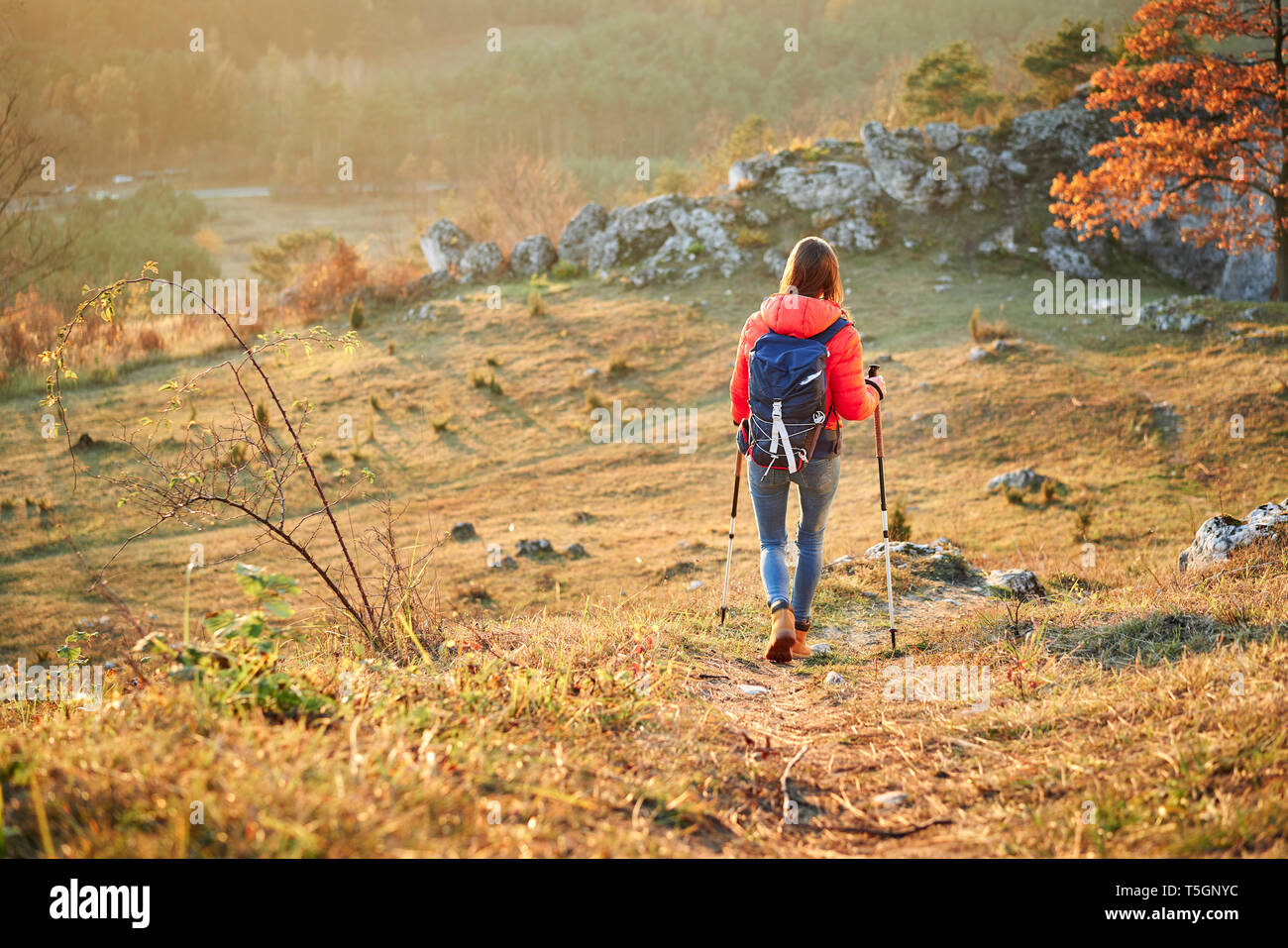 Vista trasera de una mujer caminando en el camino en una excursión en las montañas Foto de stock