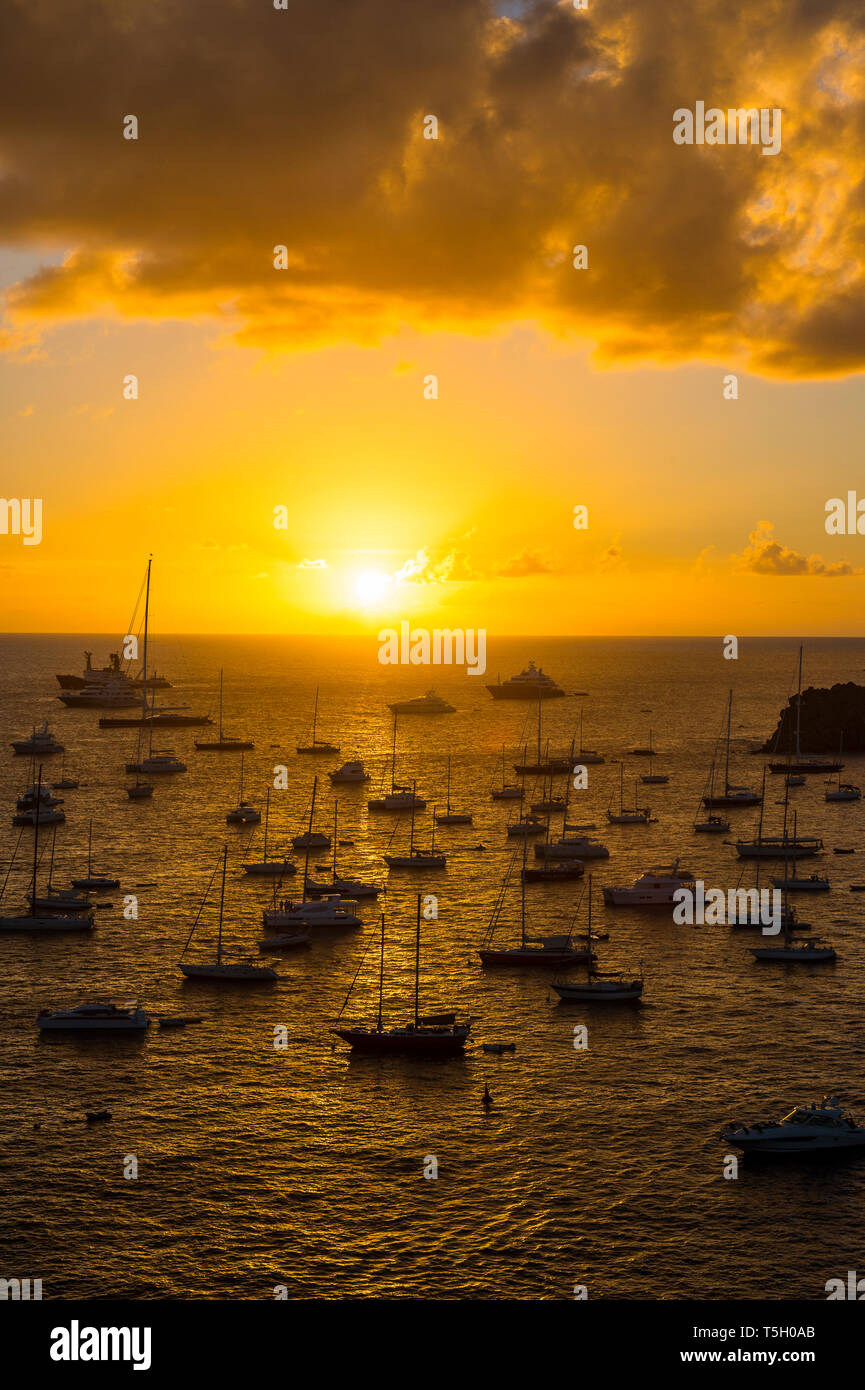 Caribe, Antillas, Saint Barthelemy, puesta de sol sobre los yates de lujo, en el puerto de Gustavia Foto de stock