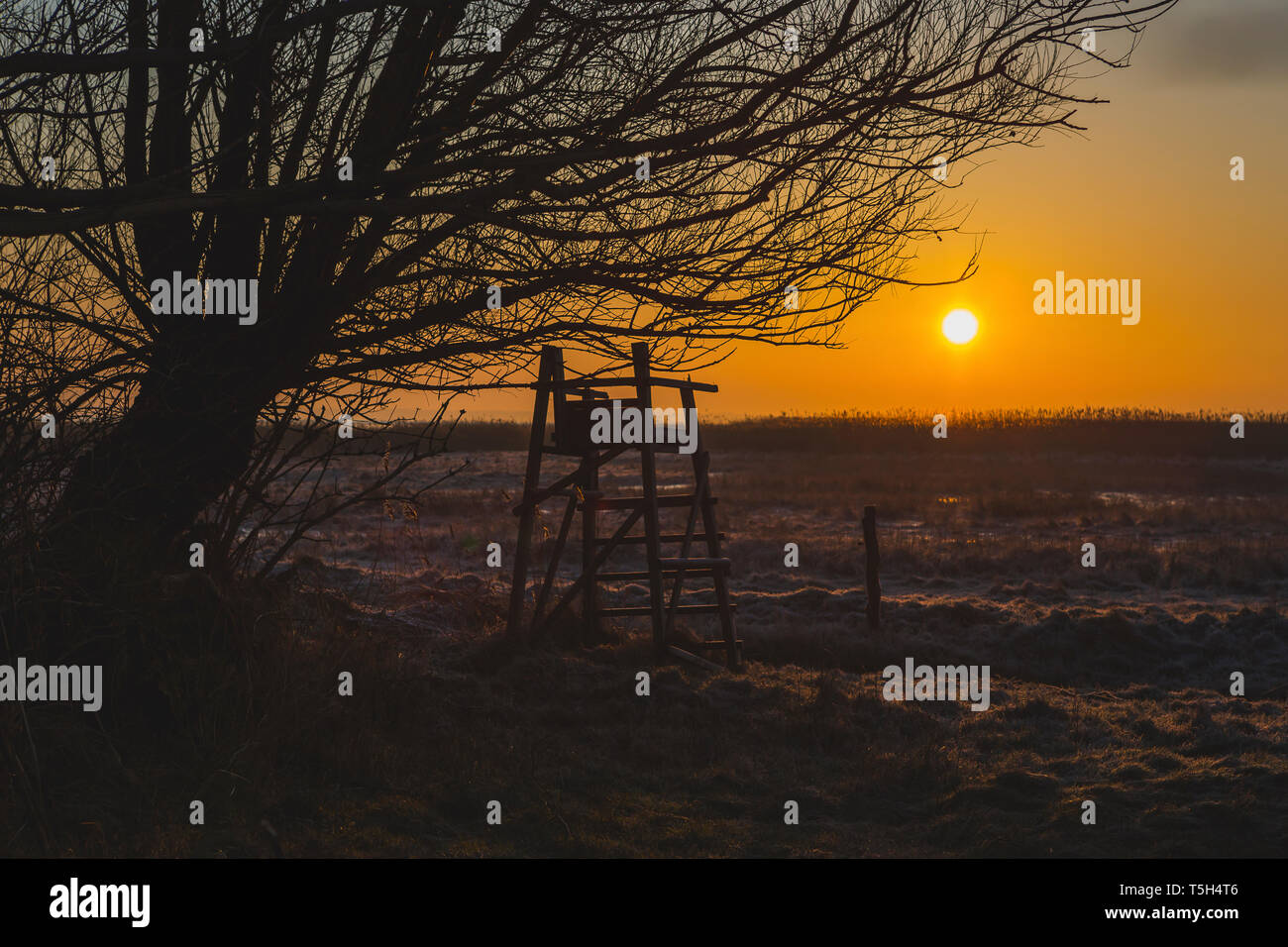 Ostsee, Darss, Sonnenaufgang, Invierno, Kälte, Hochsitz Foto de stock