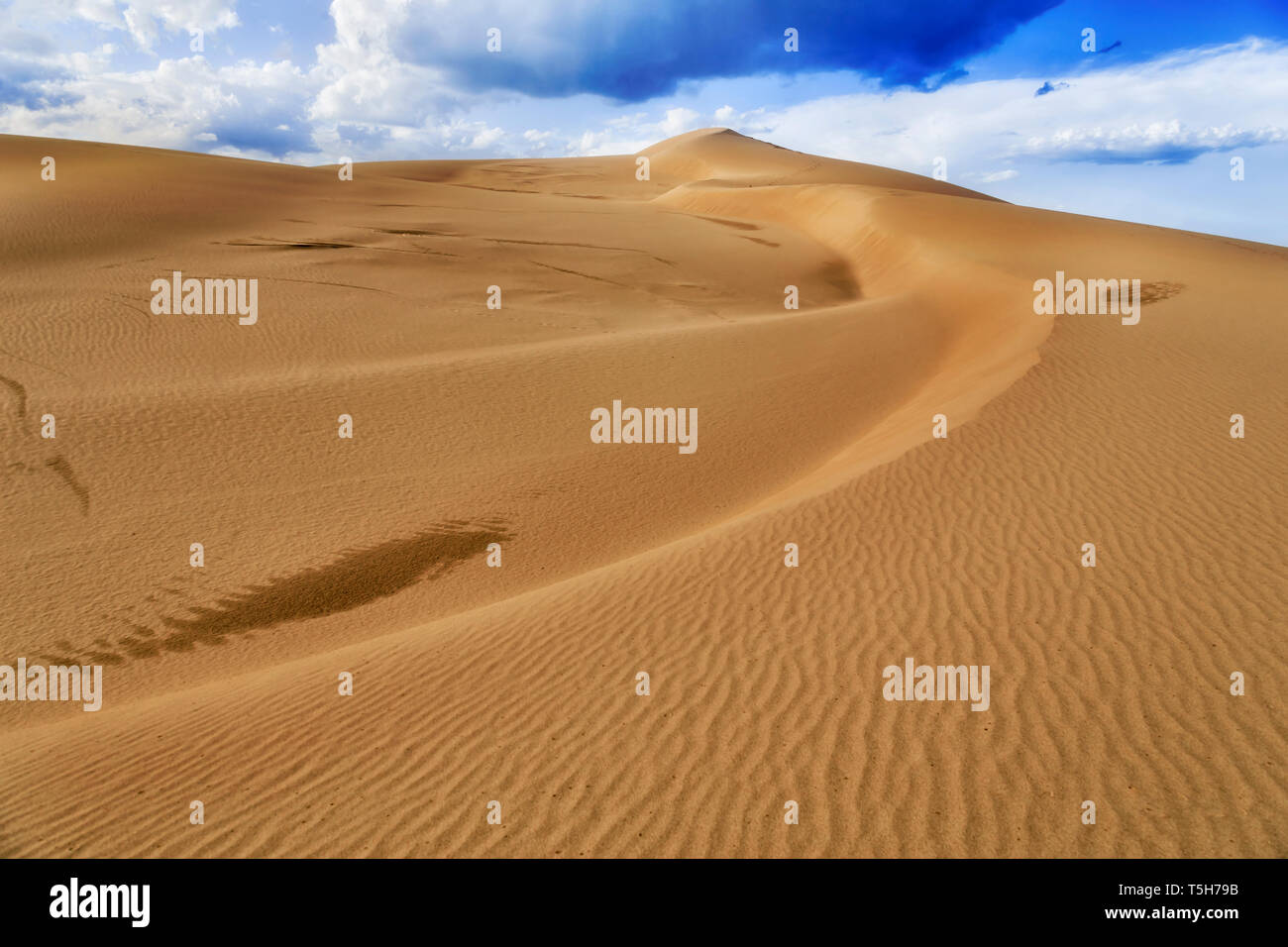 Interminables dunas de arena sin vida bajo un cielo azul con nubes tormentosas con luz del sol fuerte y el patrón en la superficie del suelo de la erosión eólica. Foto de stock