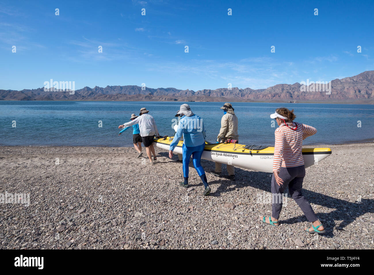 Llevar un kayak de mar para el agua, la Bahía de Loreto Nat. Park, Baja California Sur, México. Foto de stock