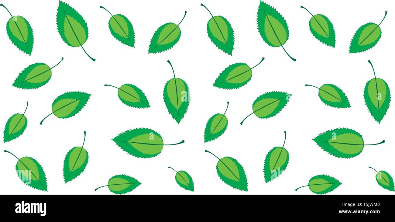 Primavera fresca perfecta con hojas verdes de fondo ecológico aislado en blanco, sin degradado, ilustración vectorial Ilustración del Vector