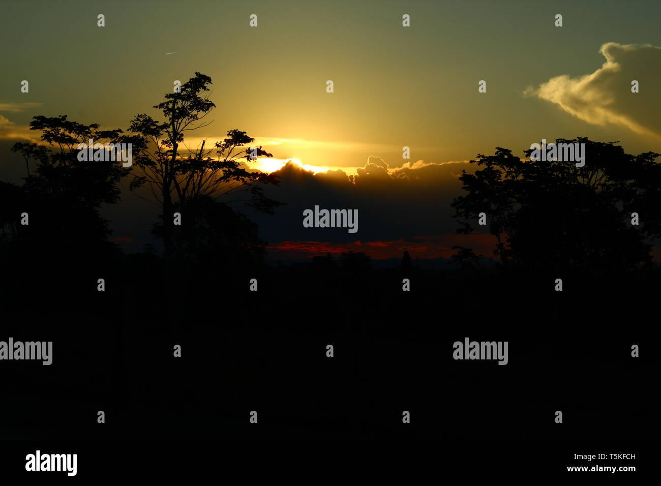 Canon t6 fotografías e imágenes de alta resolución - Alamy