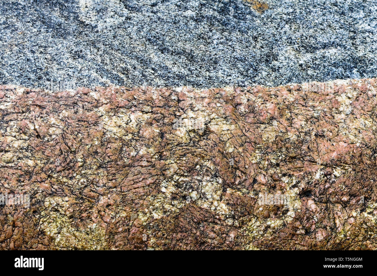 El fondo del mar, la piedra, la textura de la piedra Fotografía de