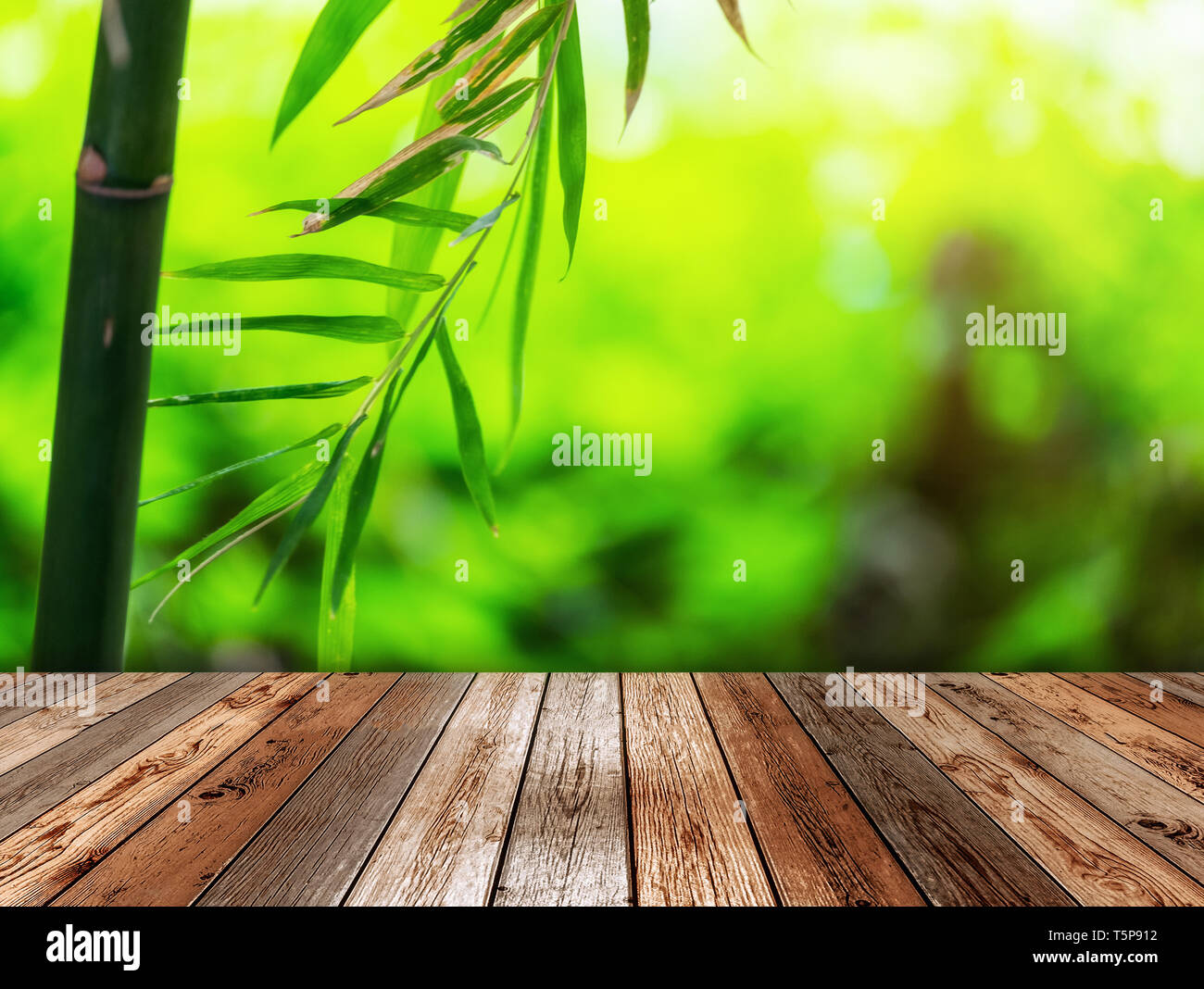 Mesa de madera sobre fondo verde de plantas de bambú Foto de stock