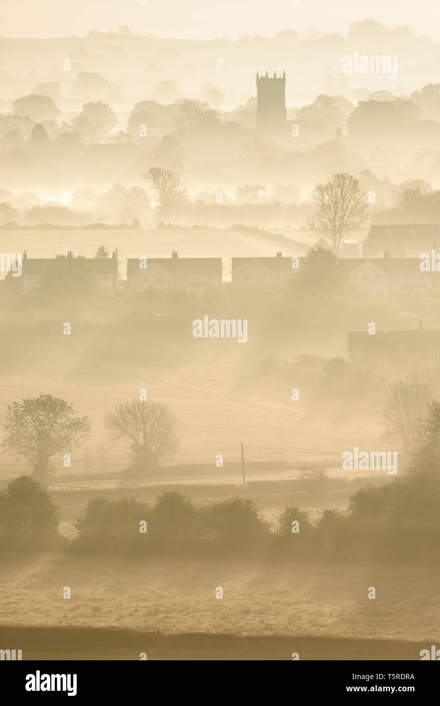 Un brumoso amanecer sobre la aldea de Kingsbury Episcopi sobre los niveles de Somerset. Foto de stock