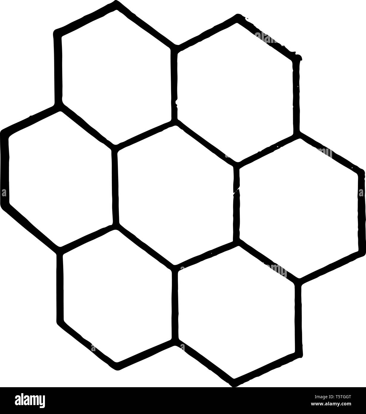 Un ejemplo de siete hexágonos diseños hechos. Cada uno del mismo tamaño,  que incluye un pequeño hexagonal, línea vintage de dibujo o ilustración  grabado Imagen Vector de stock - Alamy