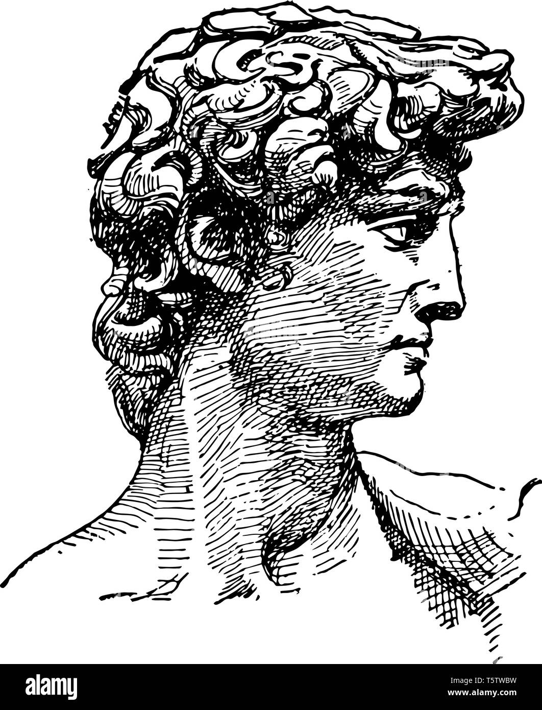 David cara de Michelangelos escultura el héroe bíblico David línea vintage  de dibujo o ilustración grabado Imagen Vector de stock - Alamy