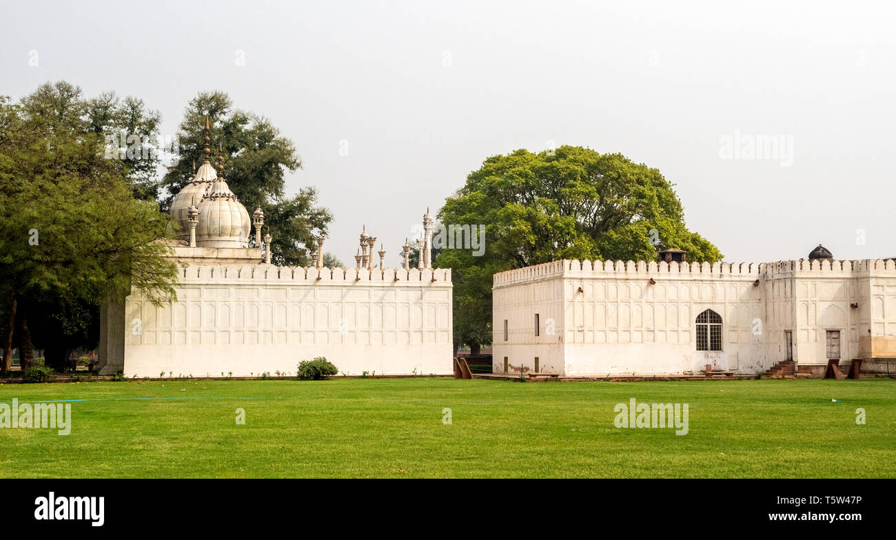 La perla de la Mezquita Moti Masjid del complejo Fuerte Rojo en el norte de la India, Delhi. Foto de stock