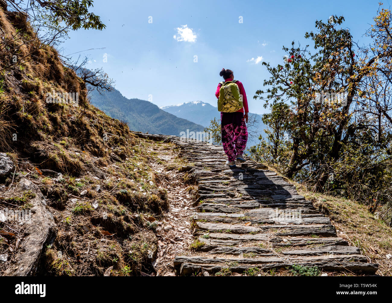 Caminando por senderos de montaña empinada en el Himalaya de Uttarakhand, en el norte de la India Foto de stock
