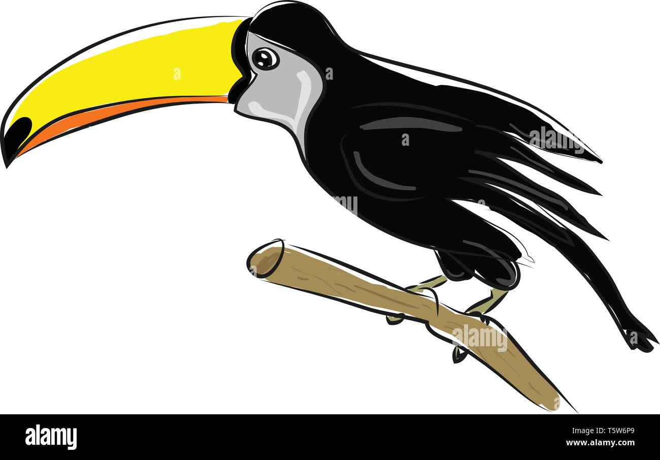 patrocinado Desierto Capilla Un pájaro negro con un largo pico amarillo, el vector, el color de dibujo o  ilustración Imagen Vector de stock - Alamy