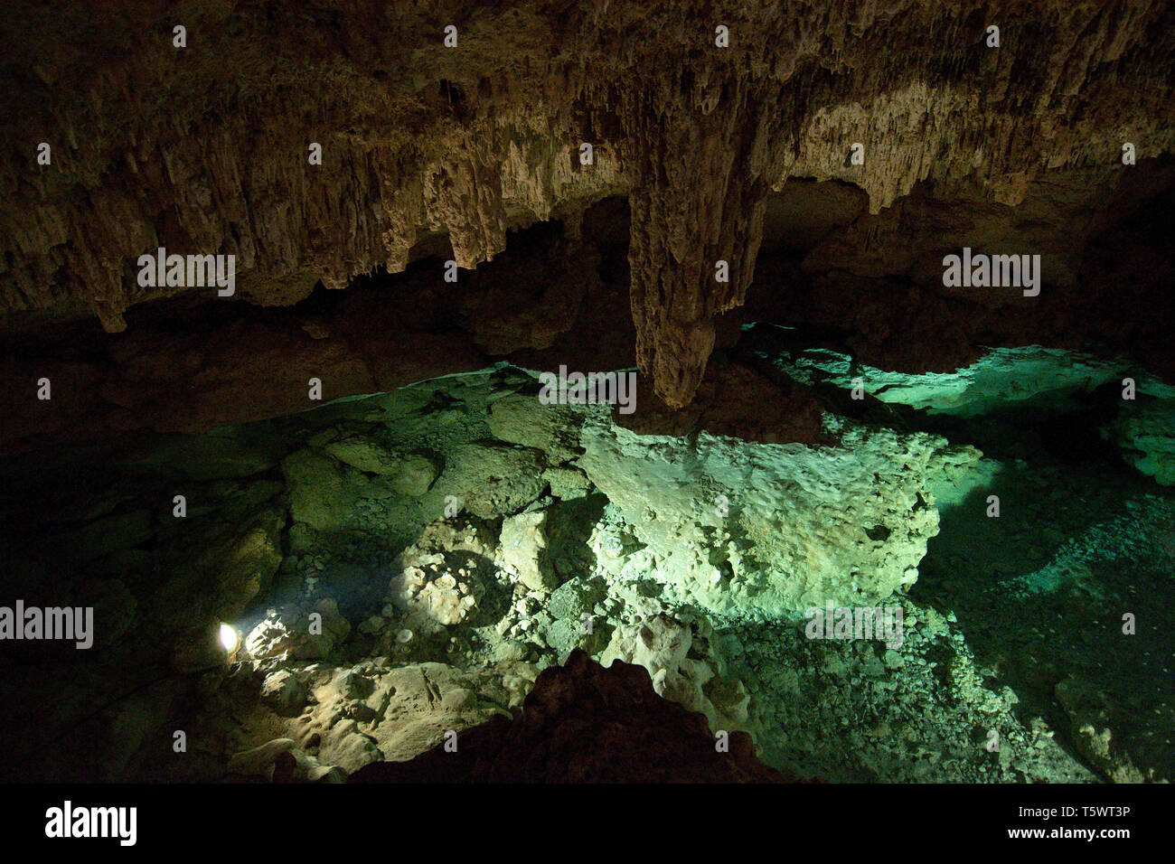 Interior de un cenote (cueva de ríos subterráneos) ubicado en la Hacienda Sotuta de Peón, Tecoh, Yucatán, México. Foto de stock