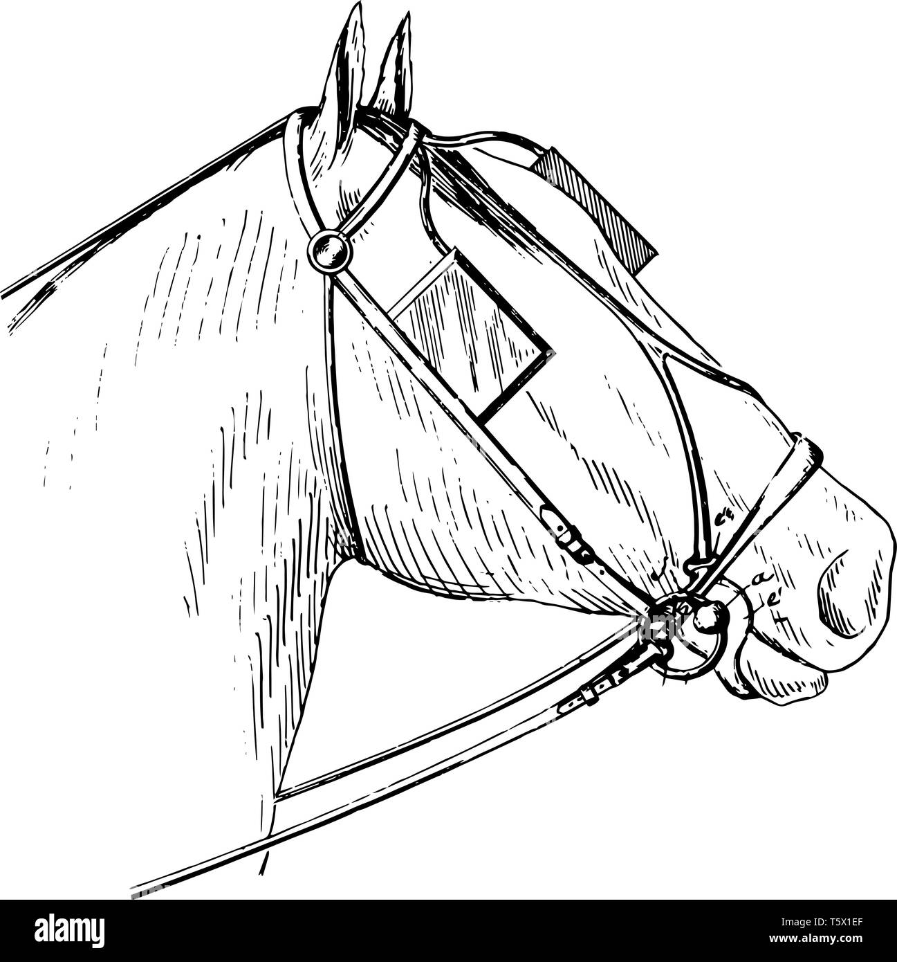 Esta ilustración representa cabestro bits que se utiliza para dirigir un caballo, grabado o dibujo de línea vintage de la ilustración. Ilustración del Vector
