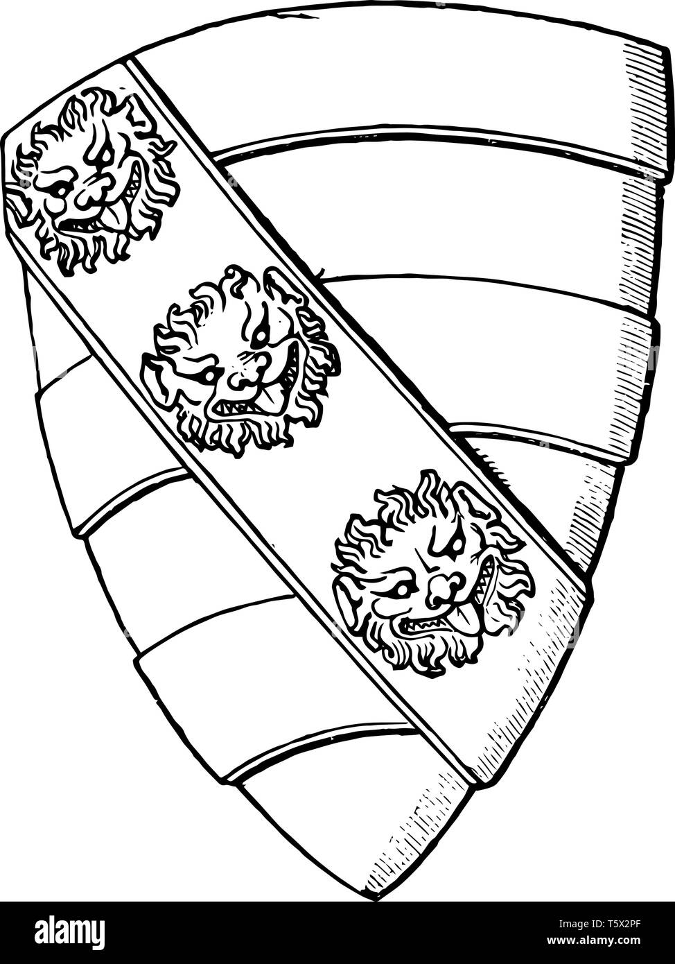 Cara de leones Imágenes de stock en blanco y negro - Alamy