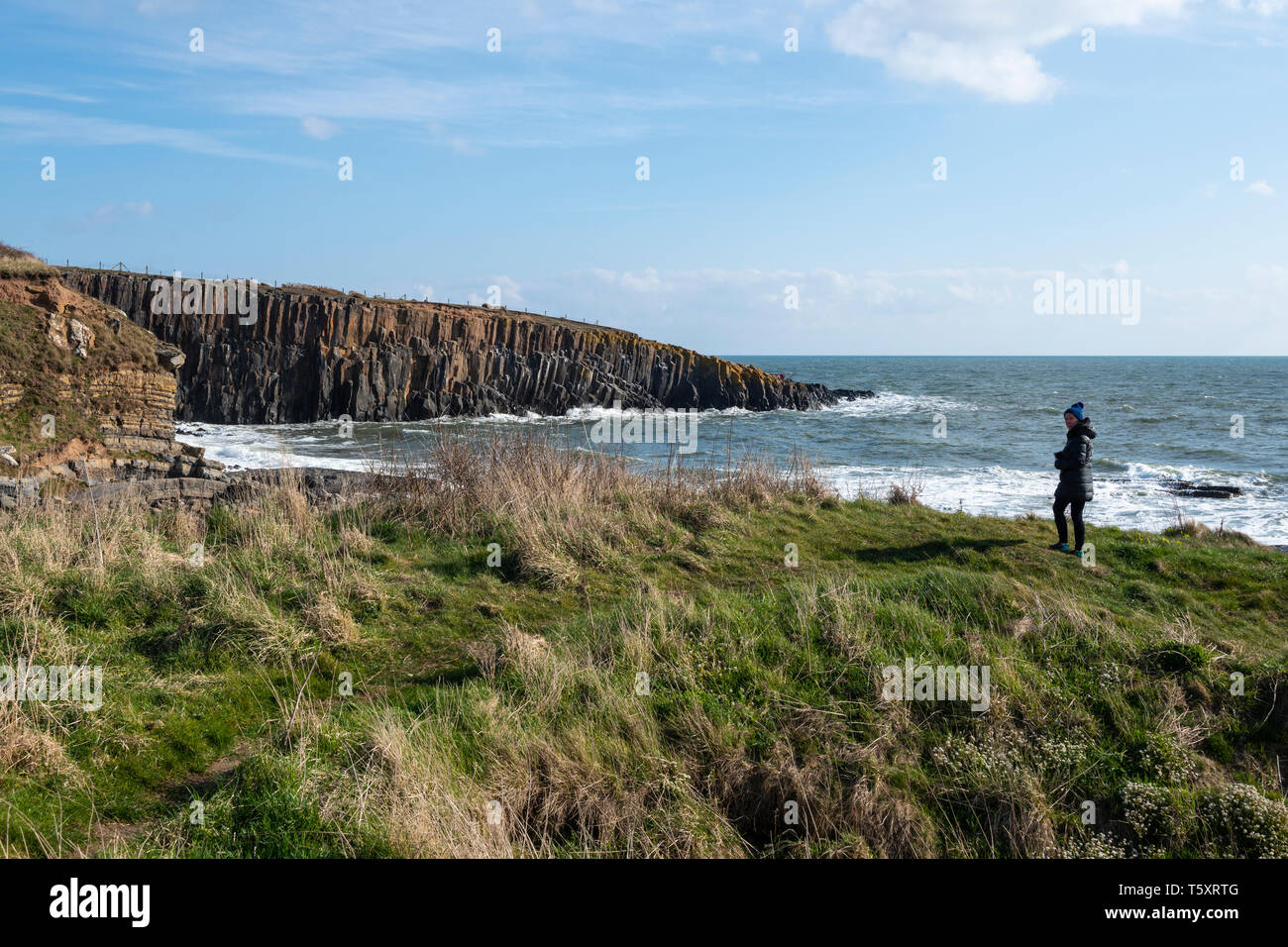 Cullernose Punto de la costa de Northumberland, Inglaterra, Reino Unido. Foto de stock