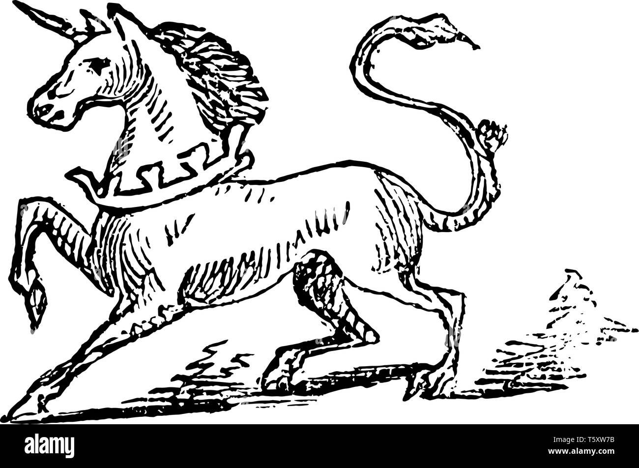 Unicornio animal hacia el lado izquierdo, la línea vintage de dibujo o ilustración grabado Ilustración del Vector