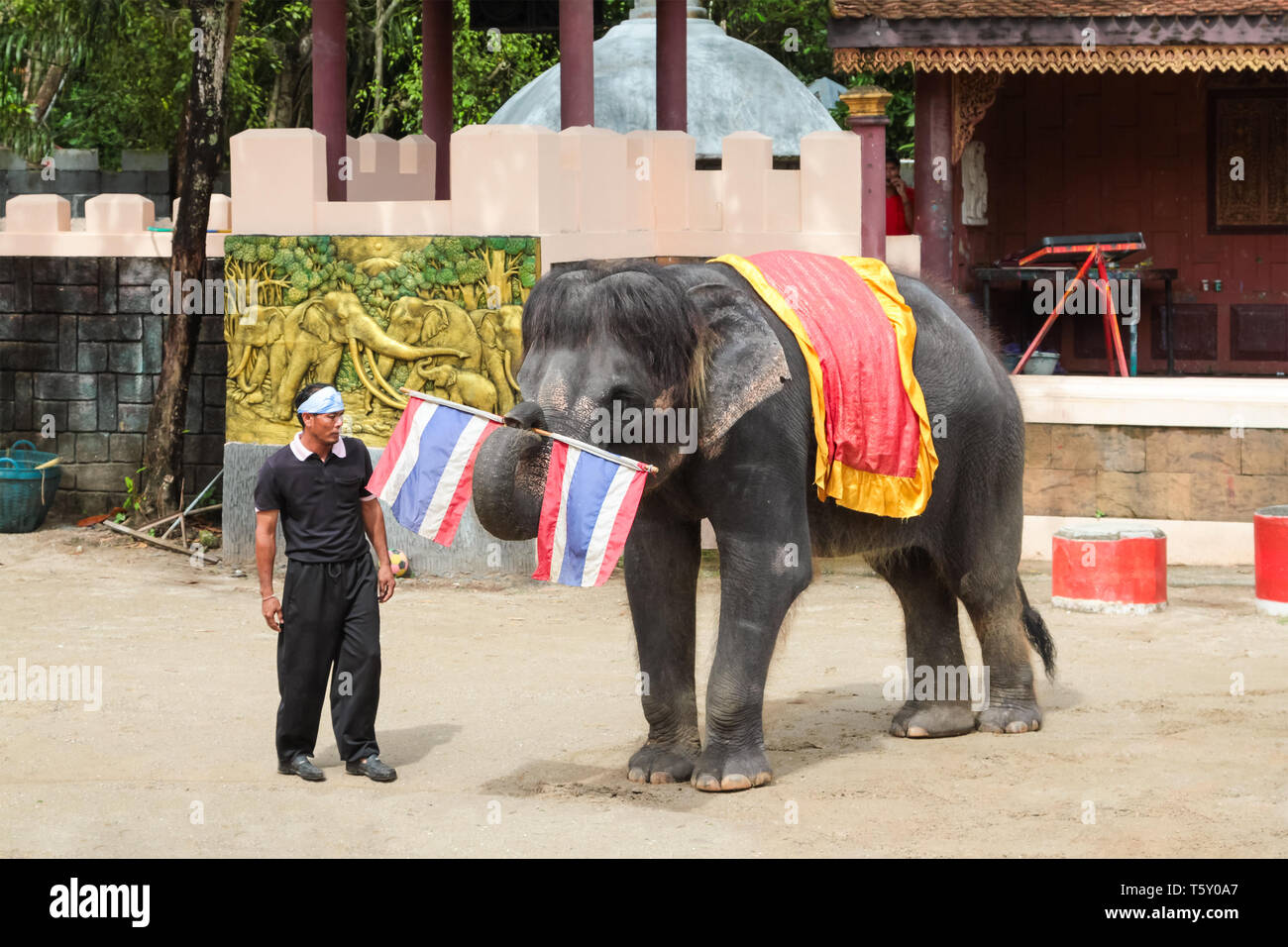 PHUKET, Tailandia - Diciembre 11, 2010: show de elefantes en el zoo de la isla de Phuket en Tailandia Foto de stock