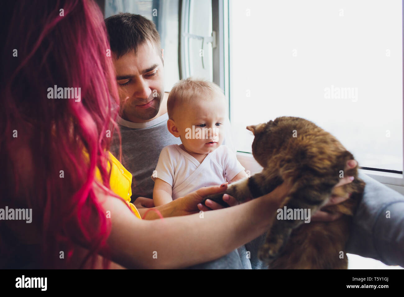 El padre y la madre joven jugando con su hijo y los gatos. Foto de stock