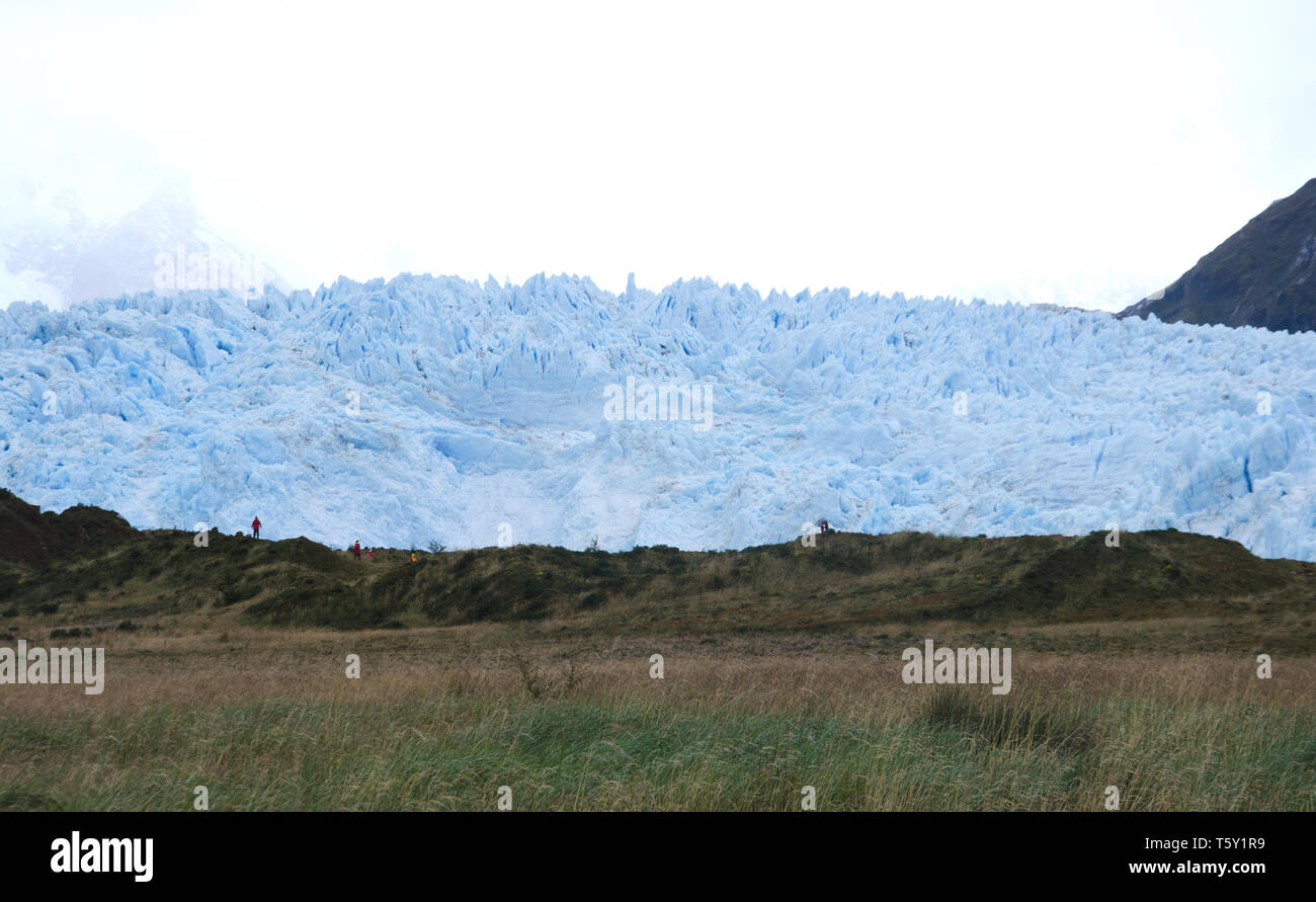 Los skúas, o Glaciar Amalia, visto desde Chile del fiordo Amalia Foto de stock
