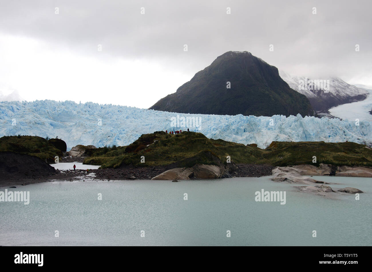 Los skúas., o en Chile Glaciar Amalia, visitada por científicos y turistas del barco RGAR resuelta Foto de stock