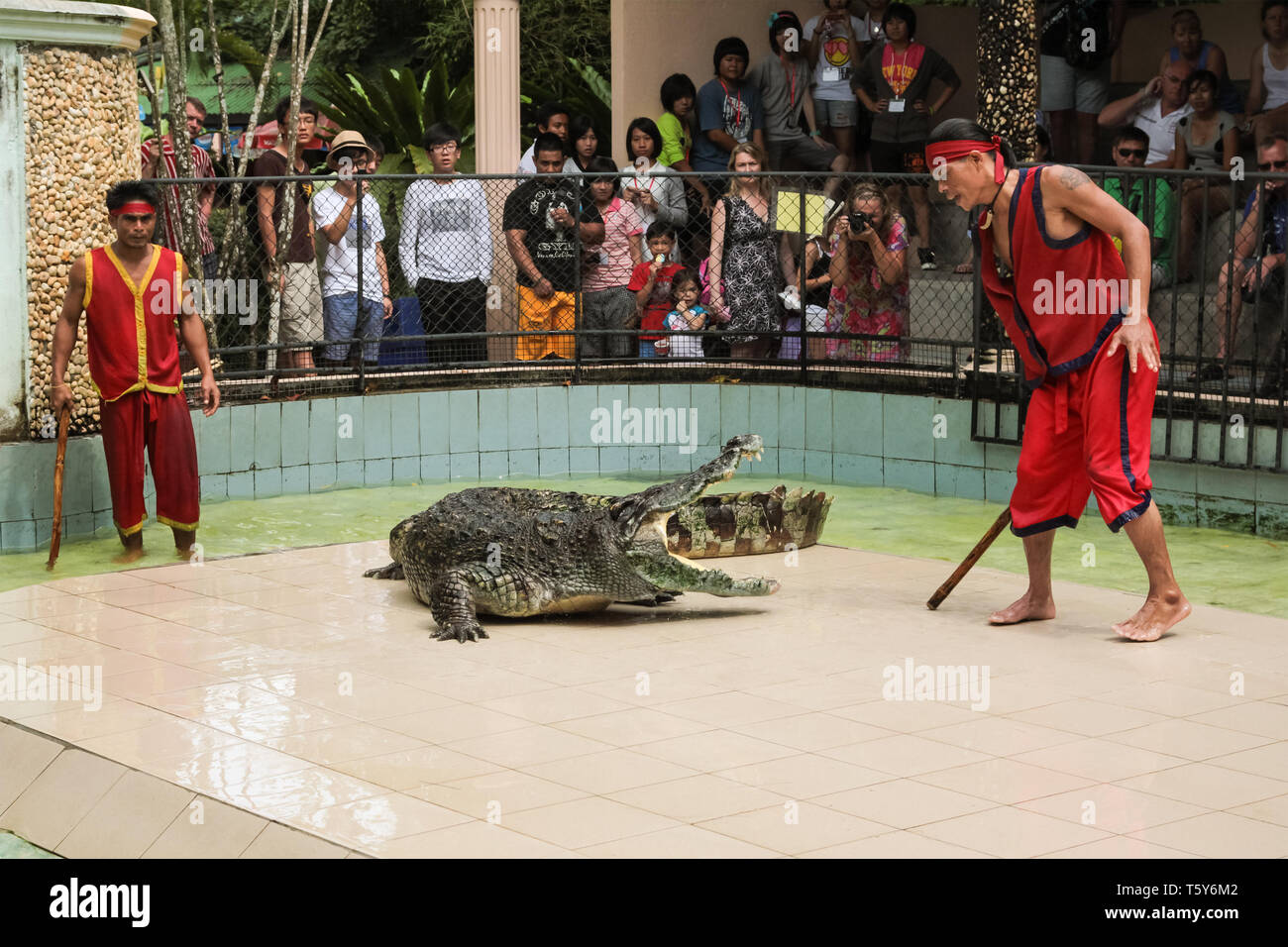 PHUKET, Tailandia - Diciembre 11, 2010: show de cocodrilo en el zoo de la isla de Phuket en Tailandia Foto de stock