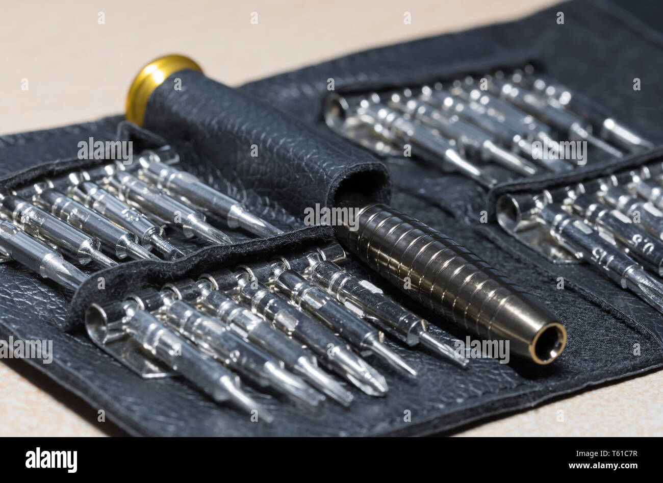 Juego de destornilladores de precisión incluyendo varias puntas Torx en la  billetera Fotografía de stock - Alamy