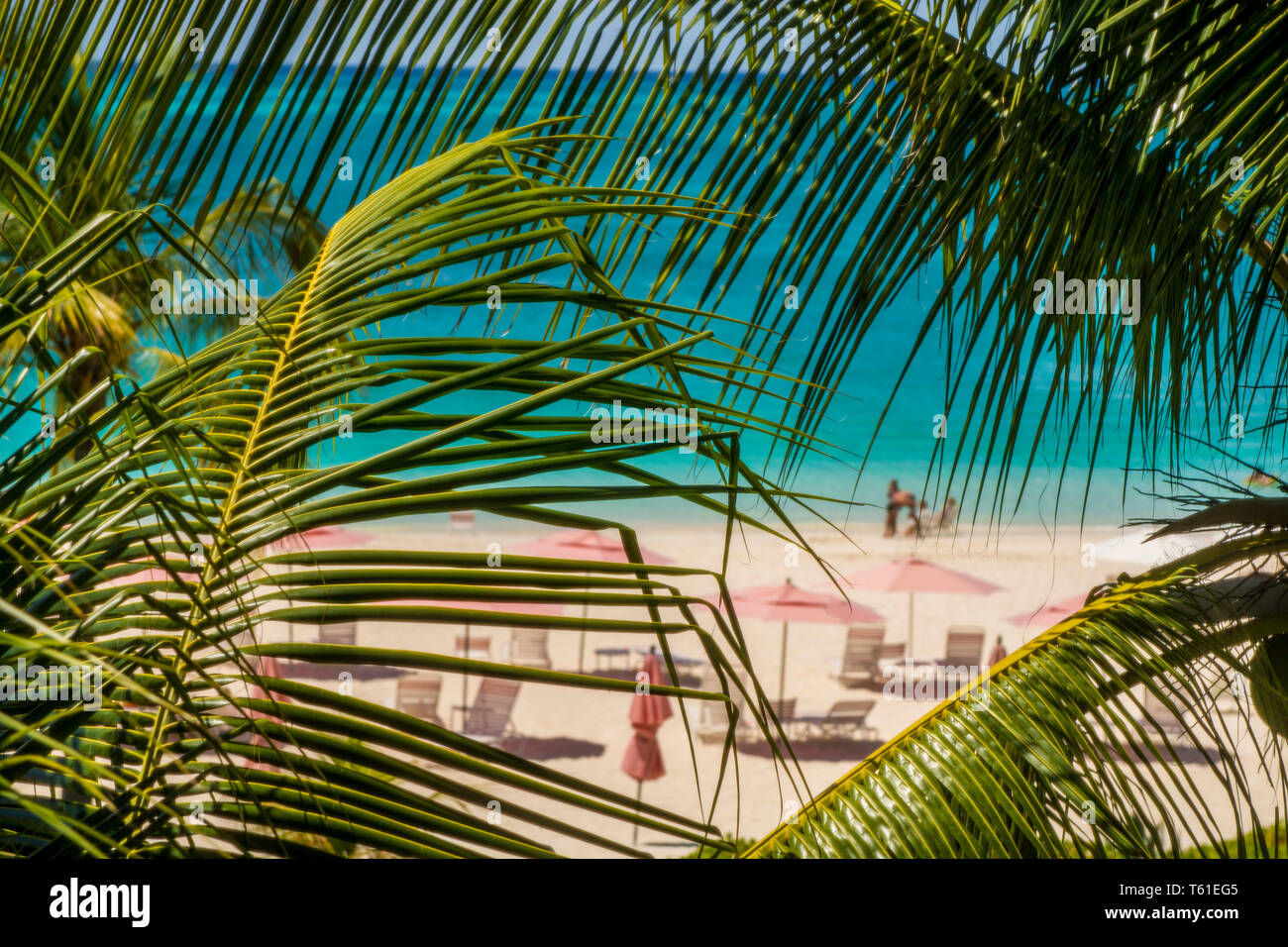 Playa de Grace Bay, Providenciales, Islas Turcas y Caicos, Caribe. Foto de stock