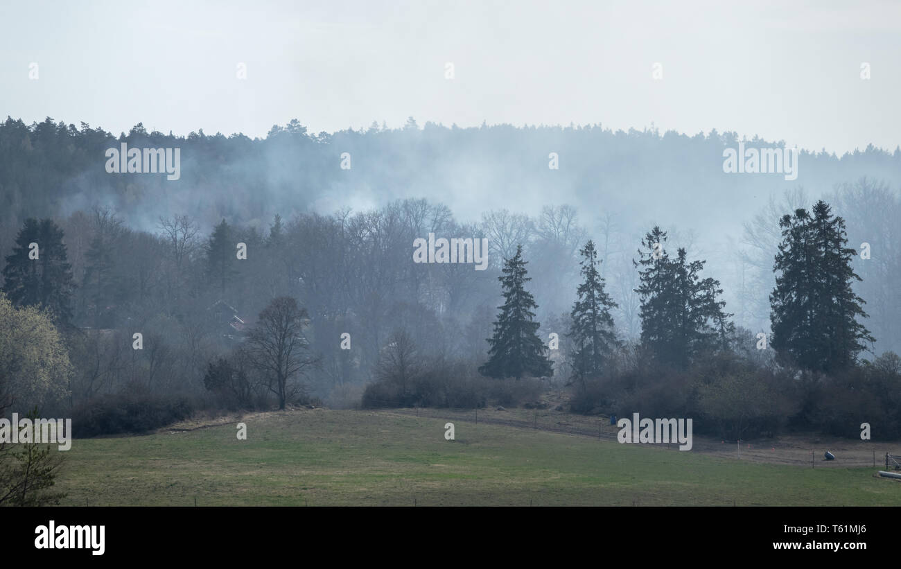 Forest wild fire, desastres de la naturaleza. Abril 2019 en Suecia. Foto de stock