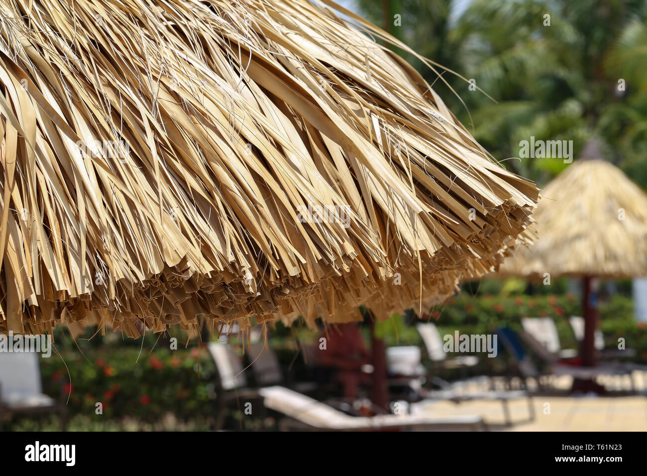 Sombrillas hechas de hojas de palma fotografías e imágenes de alta  resolución - Alamy