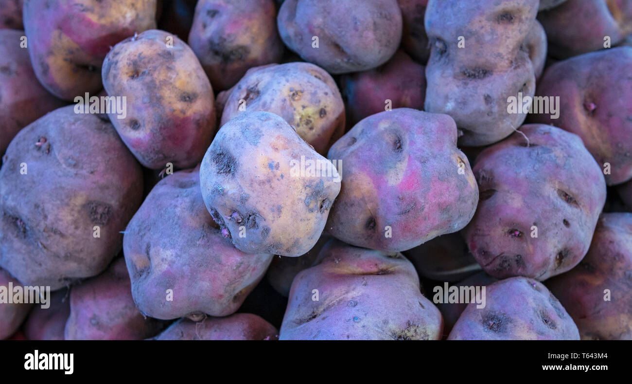 Fotografía Panorámica de endemismos peruanos nativos Purple patatas en un mercado local en Cusco, Perú. Foto de stock