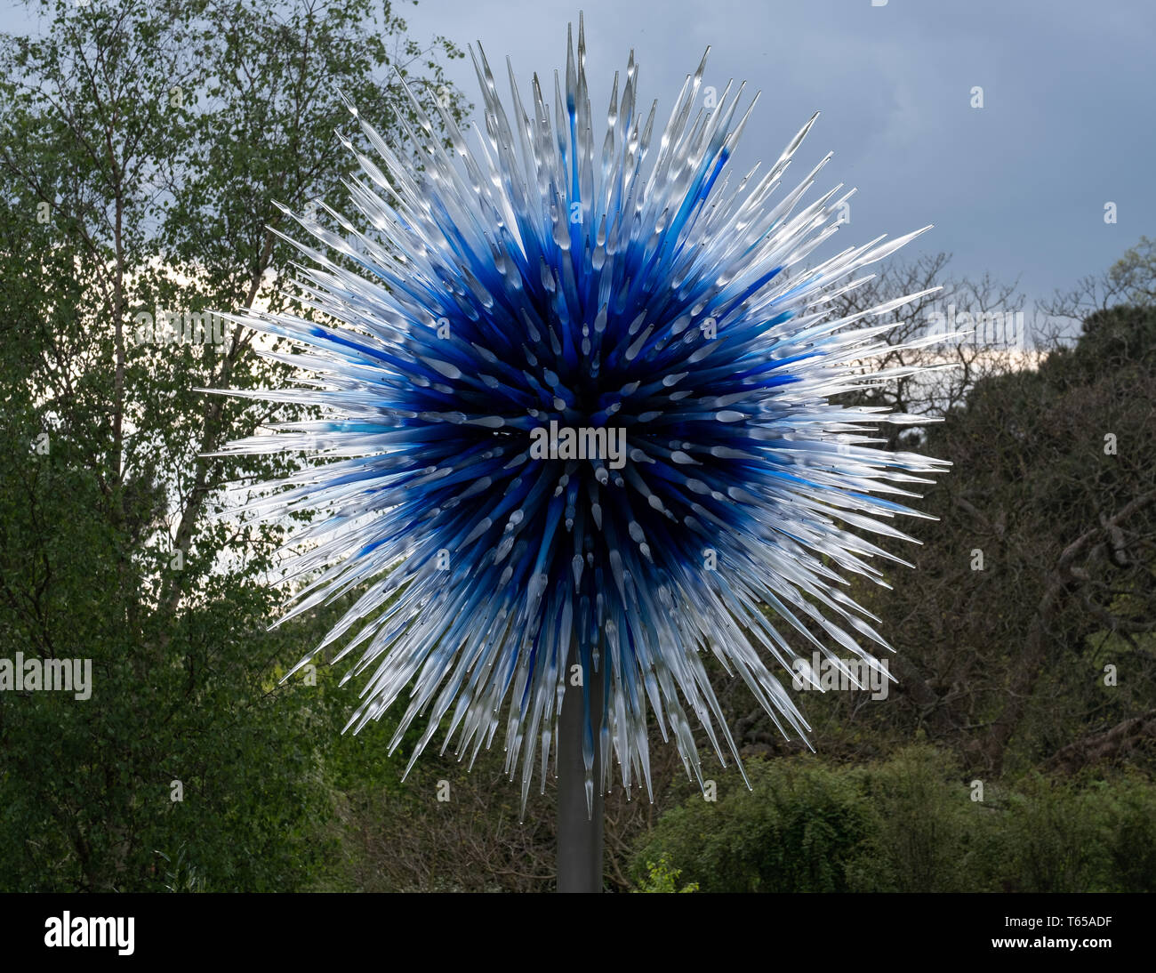 Kew, Londres. 'SAPPHIRE' Estrella exhiben por Victoria Gate en Kew Gardens "Reflexiones sobre la naturaleza" Exposición: escultura en vidrio con vidrio artista Dale Chihuly. Foto de stock