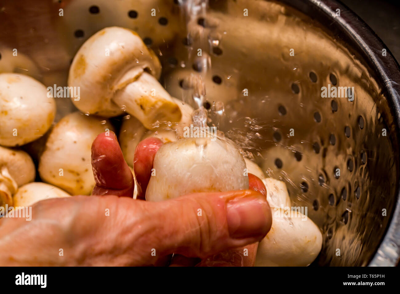 Cerca de chef orgánicos setas (Botón de lavado agricus bisoris) bajo un grifo fría en un colador de acero inoxidable Foto de stock