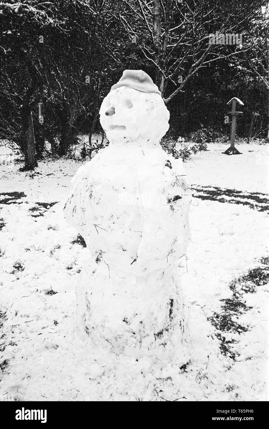 Muñeco de nieve, Medstead, Hampshire, Inglaterra, Reino Unido. Foto de stock