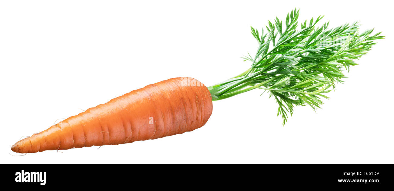 Zanahorias frescas orgánicas sobre fondo blanco. Archivo contiene el trazado de recorte. Foto de stock