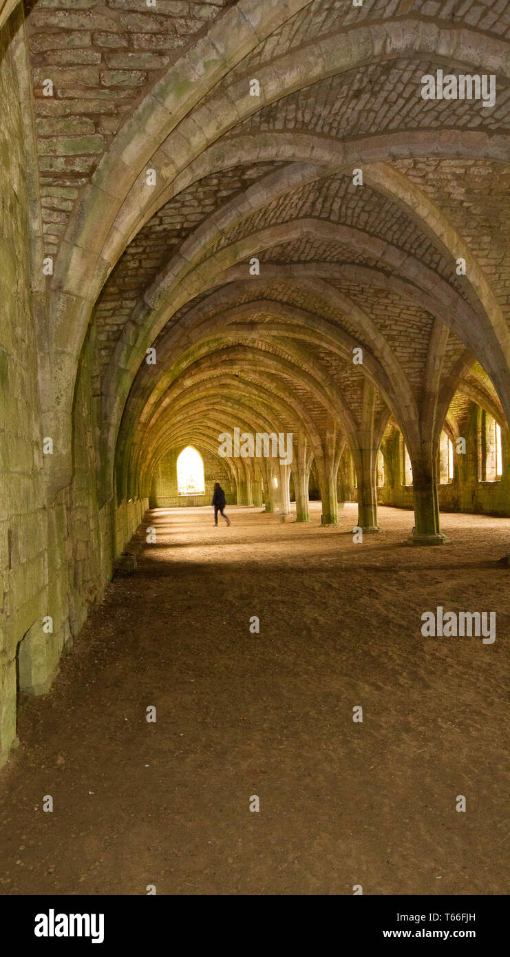 Fountains Abbey, Yorkshire, Reino Unido Foto de stock