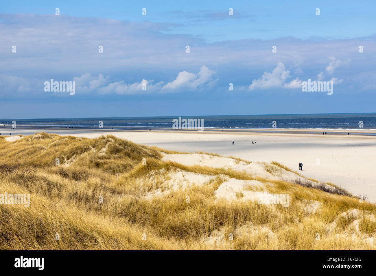 Del Mar del Norte isla Juist, Frisia Oriental, Playa, Paisaje de dunas, Baja Sajonia, Alemania, Foto de stock